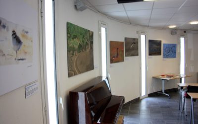 Exposition « Poses en baie de l’Aiguillon »