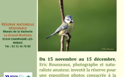 « Des plumes dans notre jardin » Exposition photographique du 15 novembre au 15 décembre 2023 ; Atelier découverte le 9 décembre 17h30
