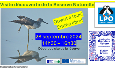 Animation Grandeur Nature: Découverte de la Réserve Naturelle Régionale Marais de la Vacherie