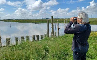 Animations à la réserve naturelle régionale marais de la Vacherie