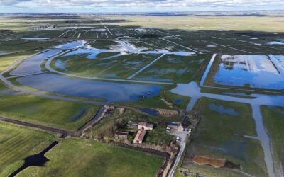 Le marais inondé, un bon point pour le prochain printemps!